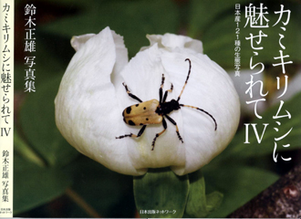 kamikiri4